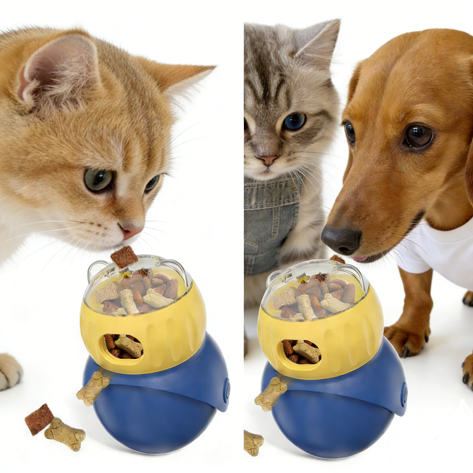 BPA-free slow pet food dispenser in use by dachshund and cat - interactive feeder for dry treats to slow down eating