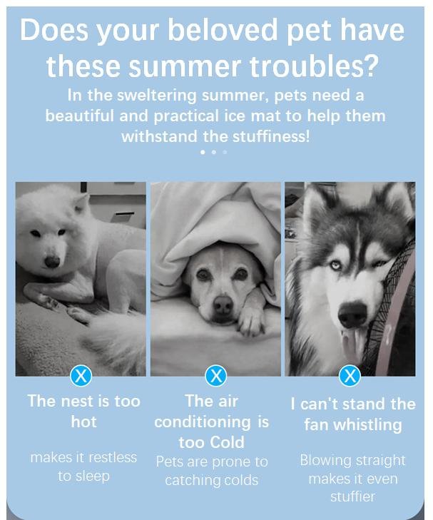 Pet cooling mat solves summer overheating problems