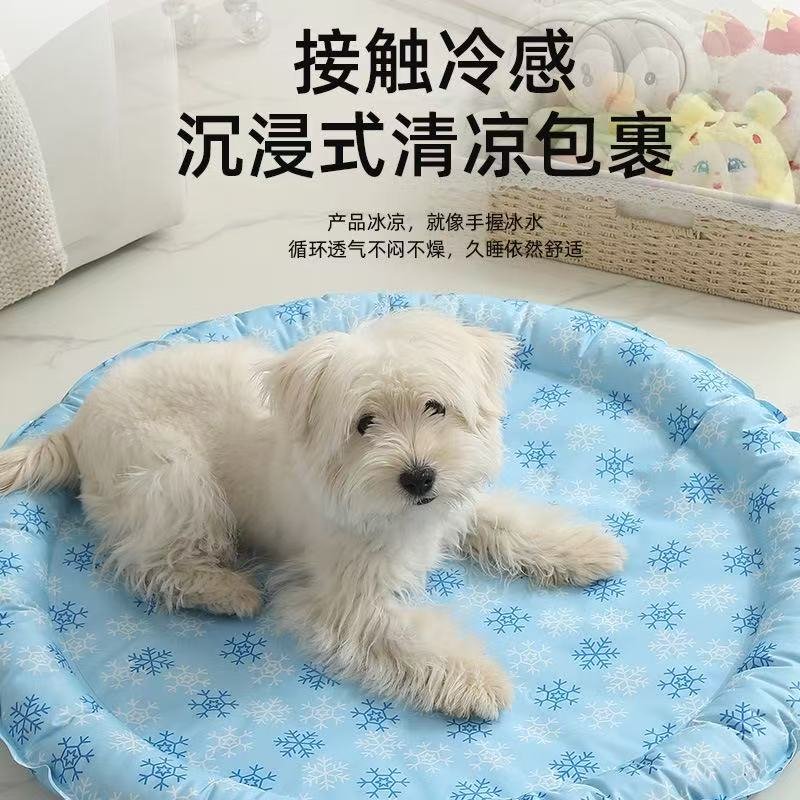 微信图片_20250829121536_320