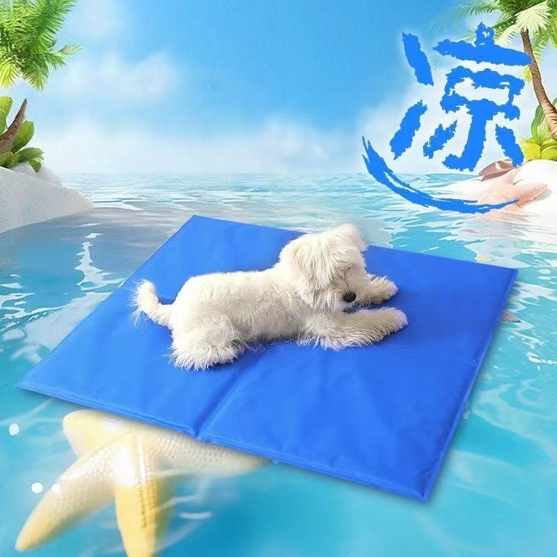微信图片_20250829121856_336