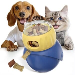 Educational Tumbler Toy